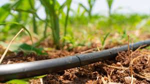 AE-Irrigation_Beaumont-Texas